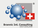 management und Consulting